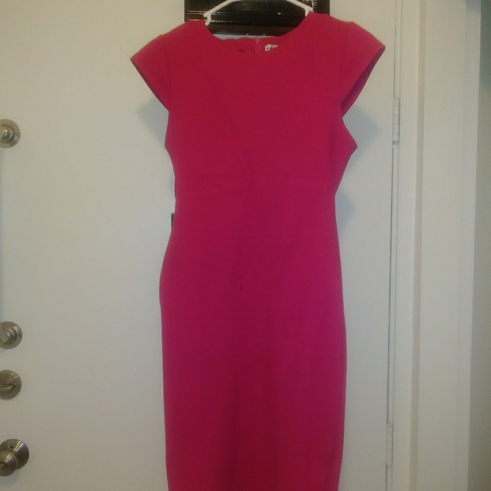 Pink Shift Dress - Picture 2 of 6